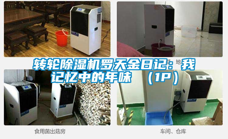 轉輪除濕機羅天金日記:我記憶中的年味 (1P)