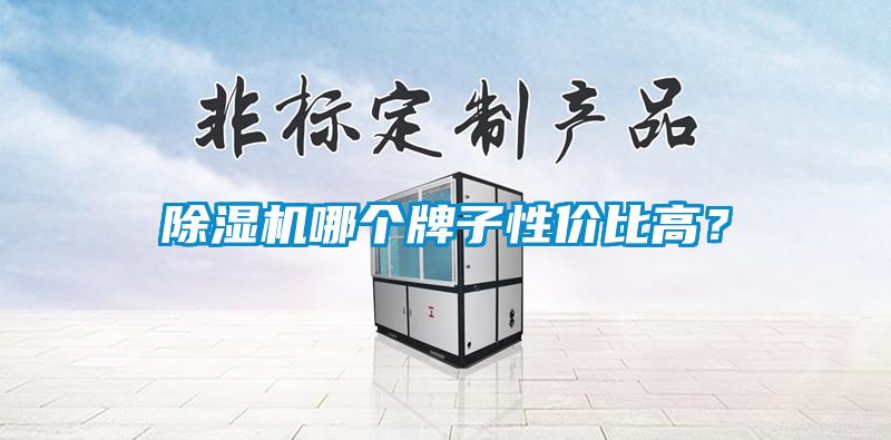 除濕機哪個牌子性價比高？