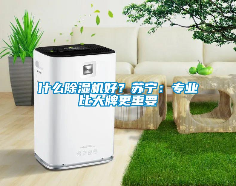 什么除濕機(jī)好？蘇寧：專業(yè)比大牌更重要