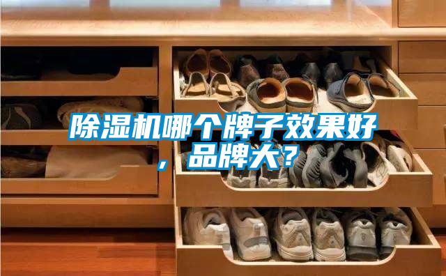 除濕機(jī)哪個牌子效果好，品牌大？