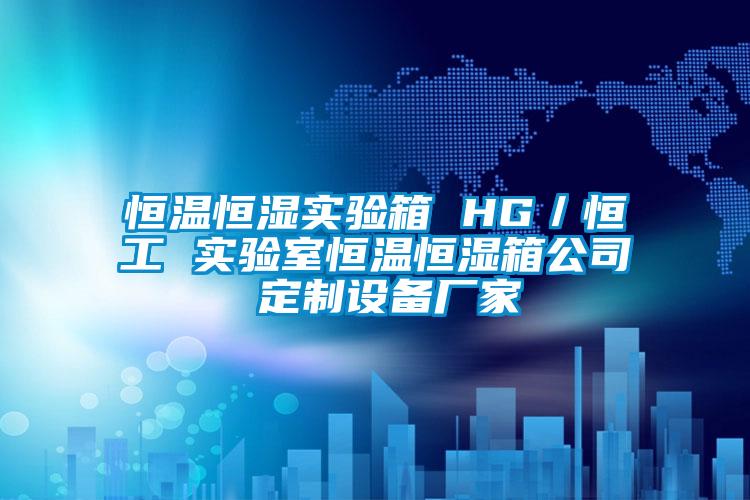 恒溫恒濕實驗箱 HG/恒工 實驗室恒溫恒濕箱公司 定制設備廠家