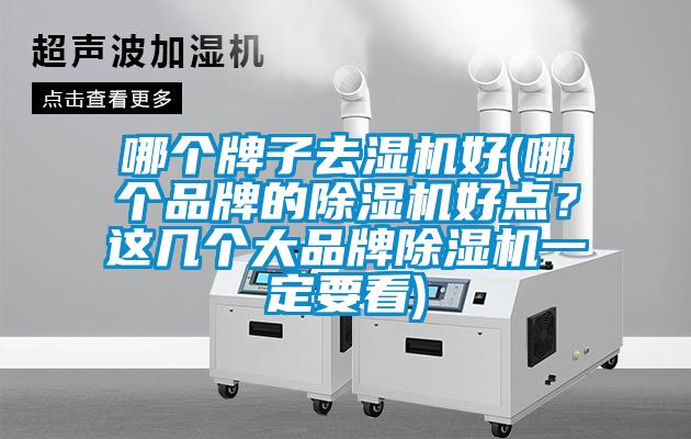 哪個(gè)牌子去濕機(jī)好(哪個(gè)品牌的除濕機(jī)好點(diǎn)？這幾個(gè)大品牌除濕機(jī)一定要看)