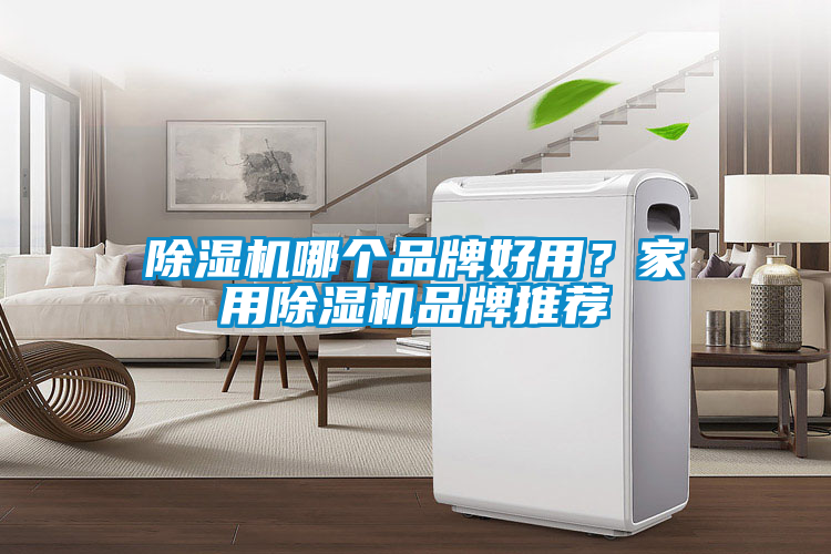 除濕機(jī)哪個品牌好用？家用除濕機(jī)品牌推薦