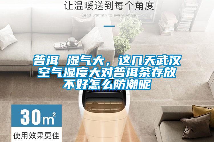 普洱 濕氣大,這幾天武漢空氣濕度大對(duì)普洱茶存放不好怎么防潮呢