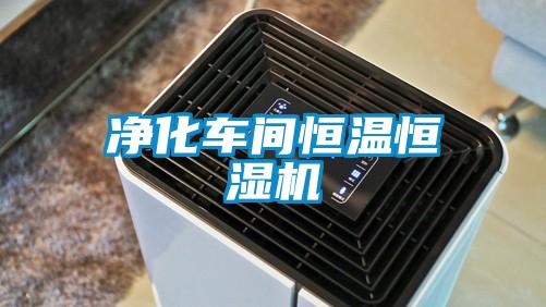 凈化車(chē)間恒溫恒濕機(jī)