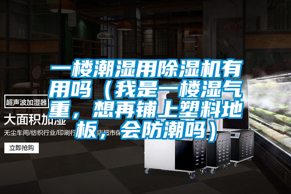 一樓潮濕用除濕機有用嗎（我是一樓濕氣重，想再鋪上塑料地板，會防潮嗎）