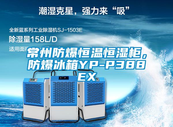 常州防爆恒溫恒濕柜，防爆冰箱YP-P388EX