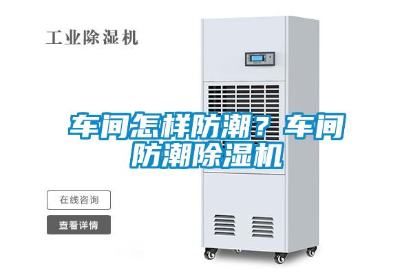 車間怎樣防潮？車間防潮除濕機