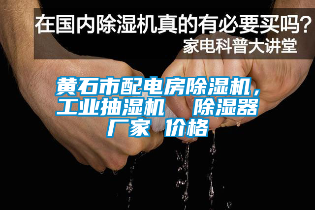 黃石市配電房除濕機(jī),工業(yè)抽濕機(jī)  除濕器廠家 價(jià)格