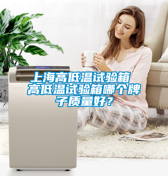 上海高低溫試驗箱 高低溫試驗箱哪個牌子質量好？