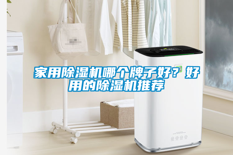 家用除濕機哪個牌子好？好用的除濕機推薦
