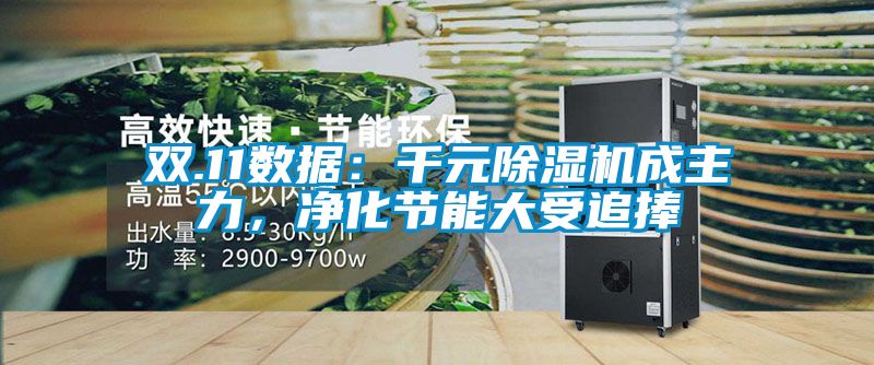 雙.11數(shù)據(jù)：千元除濕機成主力，凈化節(jié)能大受追捧