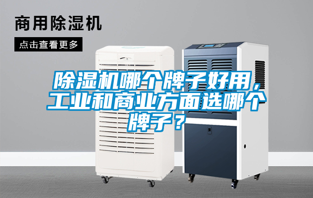 除濕機(jī)哪個(gè)牌子好用，工業(yè)和商業(yè)方面選哪個(gè)牌子？