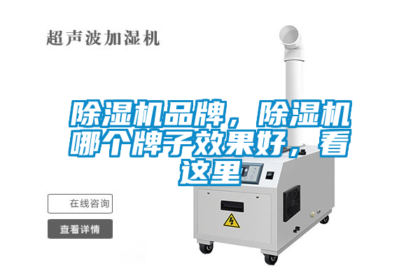 除濕機品牌,除濕機哪個牌子效果好,看這里