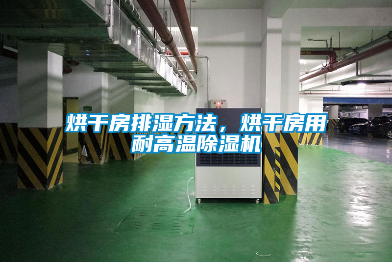 烘干房排濕方法,烘干房用耐高溫除濕機