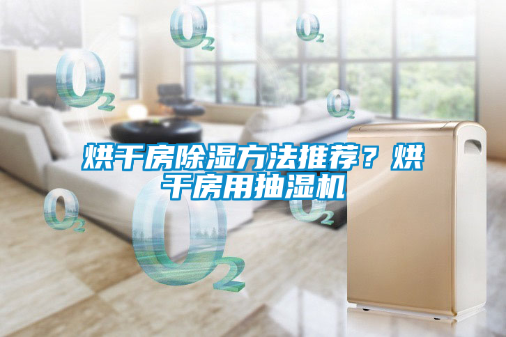 烘干房除濕方法推薦?烘干房用抽濕機