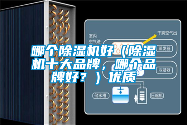 哪個除濕機好（除濕機十大品牌，哪個品牌好？）優(yōu)質(zhì)