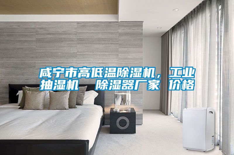 咸寧市高低溫除濕機,工業抽濕機  除濕器廠家 價格