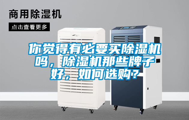 你覺得有必要買除濕機嗎，除濕機那些牌子好，如何選購？