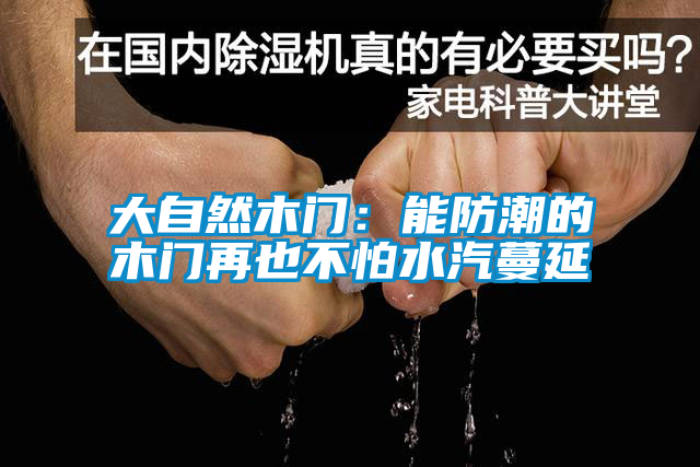 大自然木門:能防潮的木門再也不怕水汽蔓延
