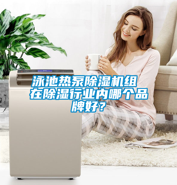 泳池熱泵除濕機組 在除濕行業內哪個品牌好?