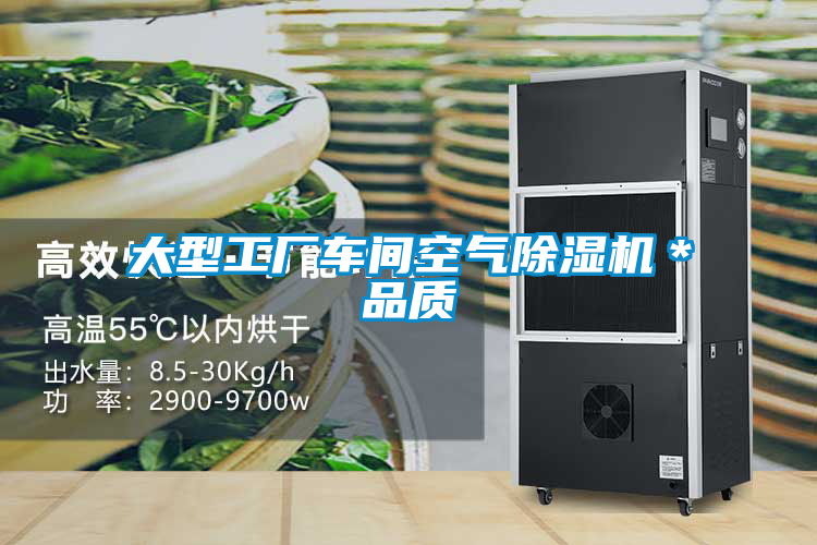 大型工廠車間空氣除濕機*品質