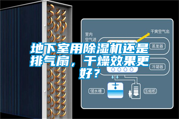地下室用除濕機還是排氣扇，干燥效果更好？