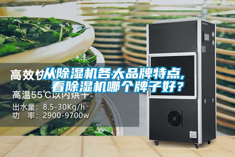 從除濕機各大品牌特點, 看除濕機哪個牌子好?