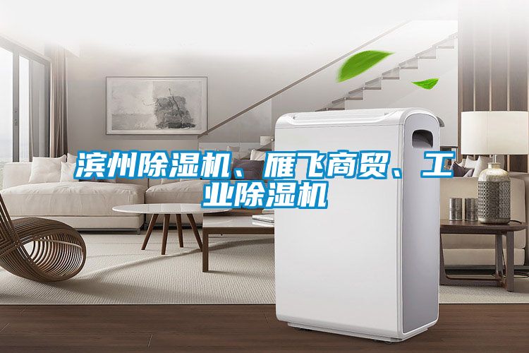 濱州除濕機、雁飛商貿、工業除濕機