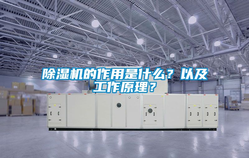 除濕機(jī)的作用是什么？以及工作原理？