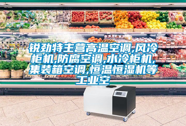 銳勁特主營高溫空調(diào),風(fēng)冷柜機,防腐空調(diào),水冷柜機,集裝箱空調(diào),恒溫恒濕機等工業(yè)空