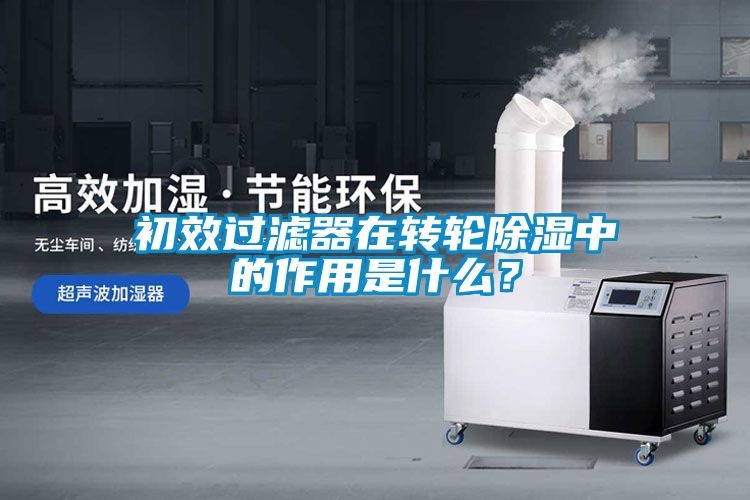 初效過濾器在轉輪除濕中的作用是什么？