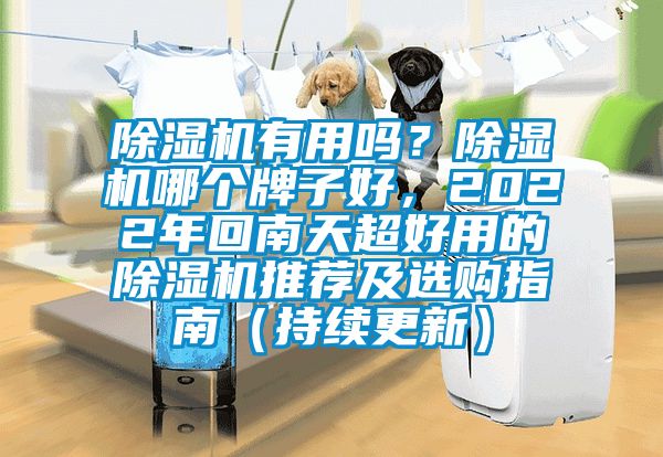除濕機(jī)有用嗎？除濕機(jī)哪個牌子好，2022年回南天超好用的除濕機(jī)推薦及選購指南（持續(xù)更新）