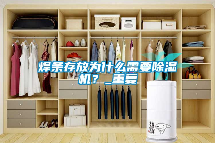 焊條存放為什么需要除濕機？_重復