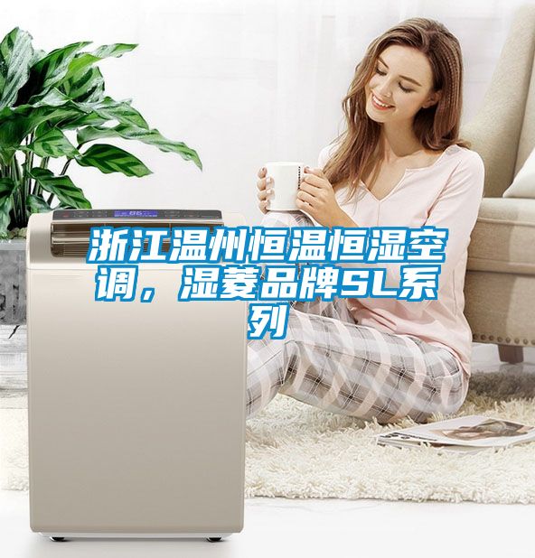 浙江溫州恒溫恒濕空調(diào)，濕菱品牌SL系列