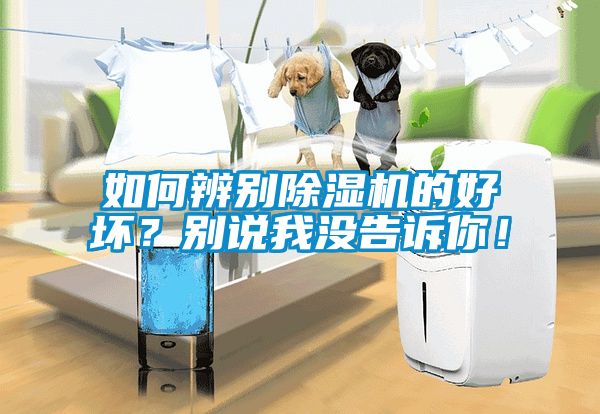 如何辨別除濕機的好壞？別說我沒告訴你！
