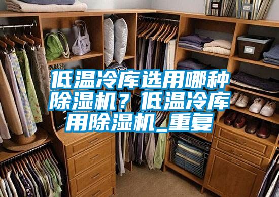 低溫冷庫選用哪種除濕機？低溫冷庫用除濕機_重復