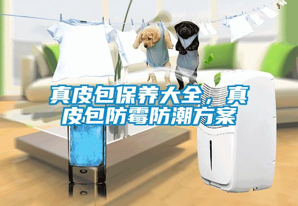 真皮包保養大全，真皮包防霉防潮方案