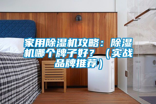 家用除濕機(jī)攻略：除濕機(jī)哪個(gè)牌子好？（實(shí)戰(zhàn)品牌推薦）
