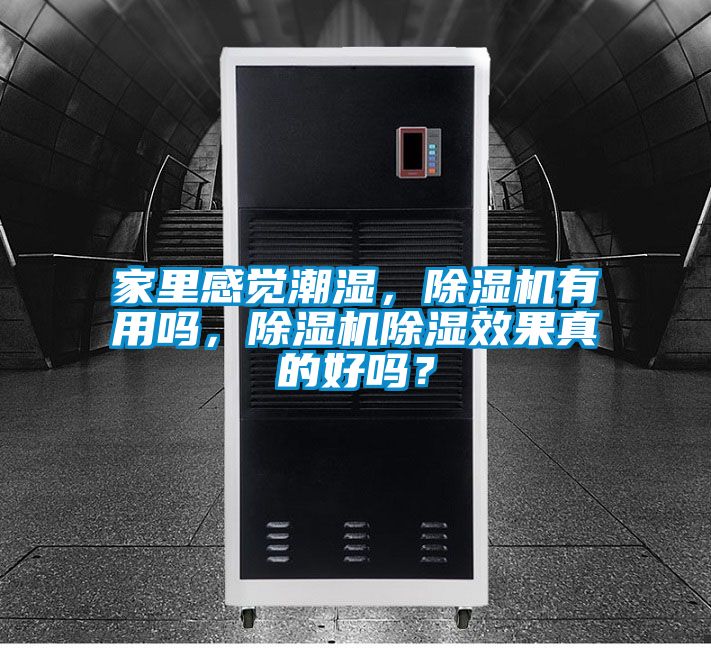 家里感覺潮濕，除濕機有用嗎，除濕機除濕效果真的好嗎？