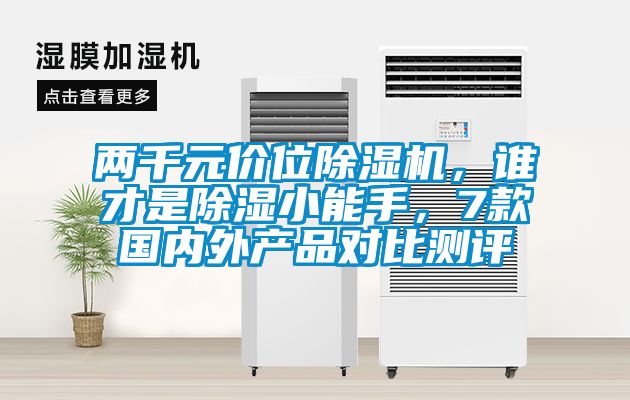 兩千元價位除濕機，誰才是除濕小能手，7款國內外產品對比測評