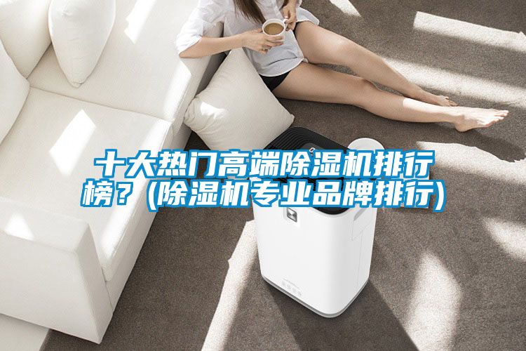 十大熱門高端除濕機(jī)排行榜？(除濕機(jī)專業(yè)品牌排行)