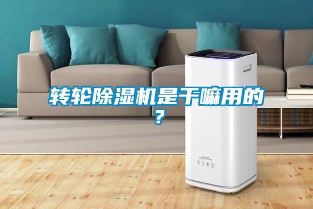 轉輪除濕機是干嘛用的？