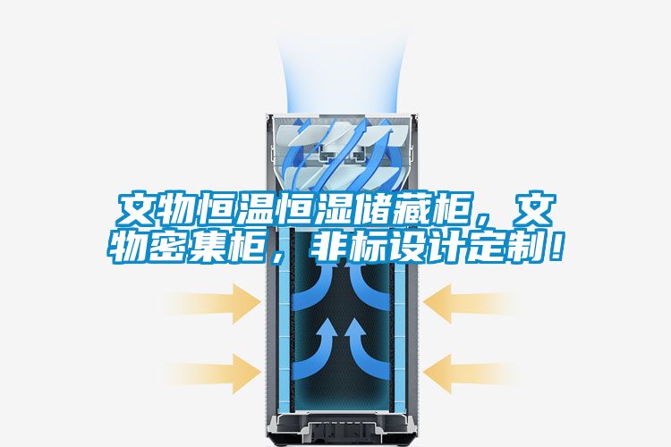 文物恒溫恒濕儲藏柜，文物密集柜，非標設計定制！