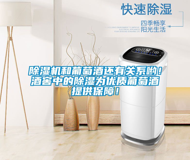 除濕機和葡萄酒還有關系喲！酒窖中的除濕為優(yōu)質葡萄酒提供保障！