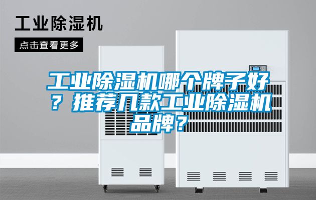 工業除濕機哪個牌子好？推薦幾款工業除濕機品牌？
