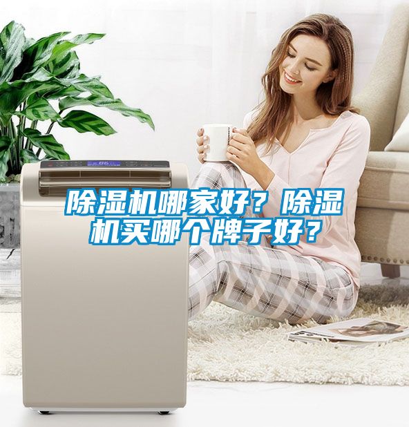 除濕機哪家好？除濕機買哪個牌子好？