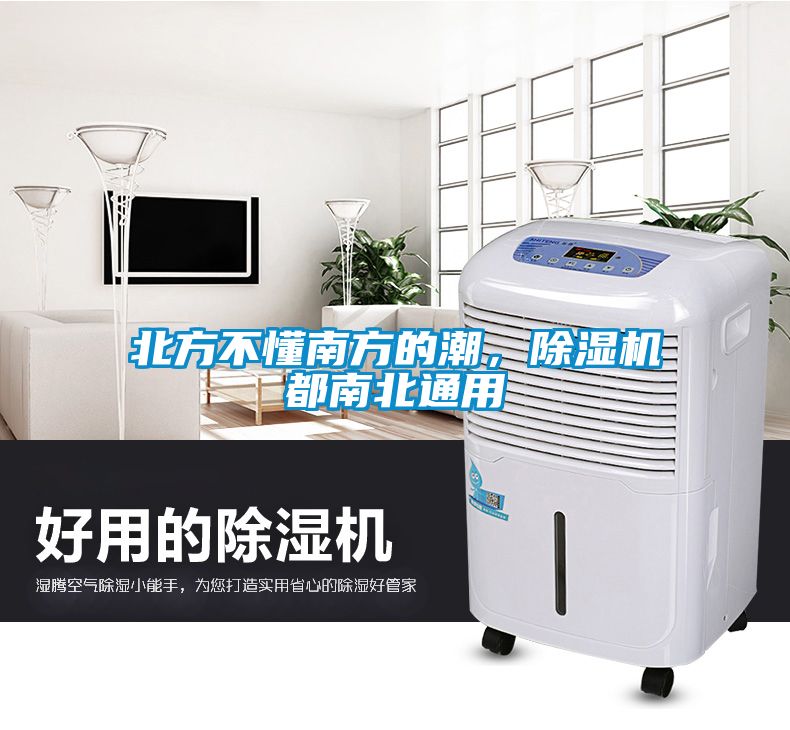 北方不懂南方的潮，除濕機都南北通用