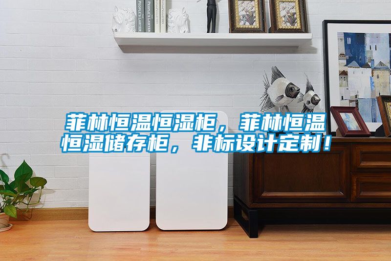 菲林恒溫恒濕柜，菲林恒溫恒濕儲存柜，非標設(shè)計定制！