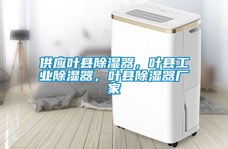 供應(yīng)葉縣除濕器，葉縣工業(yè)除濕器，葉縣除濕器廠家